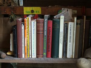 "When things dream" bookshelf, front right corner