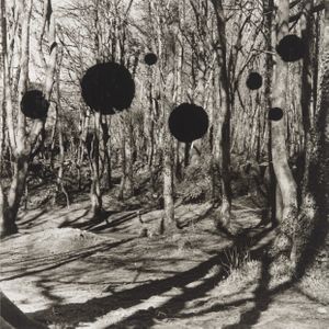 DISAPPEARANCE 2