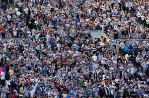 Toon Army 8