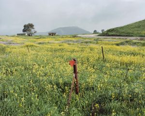 Demilitarized Zone (Syria border)