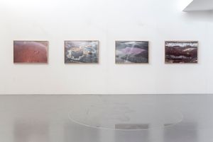 Disfigurements Installation View