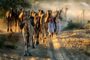 flavour of rajasthan