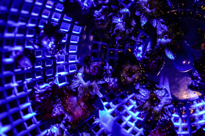 5 Dance floor