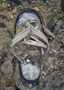 Forgotten Footsteps