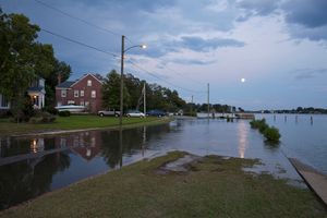 Flooding at High Tide and a Full Moon, Cambridge Place, Norfolk, Virginia, 2012.Elevation Two Feet. N 36.89701 W 76.28584.