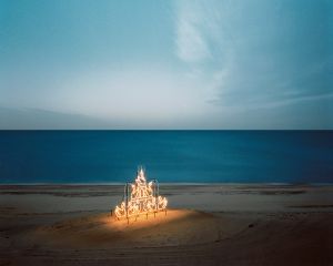 Swans, Virginia Beach VA, 2009 © Scott Conarroe