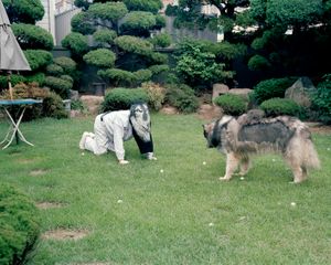 Dog