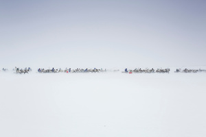 Reindeer race