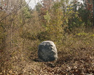 Self Portrait