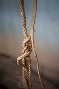 A Bullriding Rope, Arizona Gay Rodeo, Phoenix, Arizona 2015