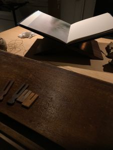 TRANSFIGURATION - a creative process, a mystery drawing inspiration from many sources