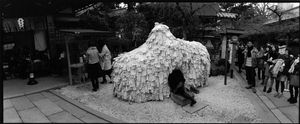 Kyoto-4