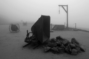 Labor and executions