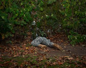 © Alejandra Carles-Tolra