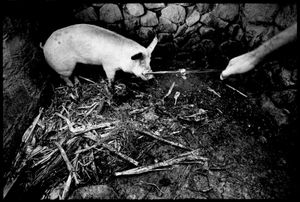 © Oliver Weber - Matanza