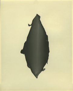 Paper negative 1