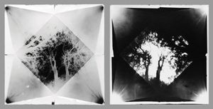 Paper Camera, Small_02 / Positive of PCS_02, Gelatin Silver, 2012 © Ross Faircloth