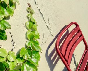 Summertime in Vienna