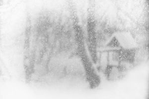 Blizzard