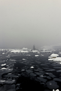 Antarctica