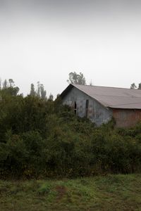 Untitled 12