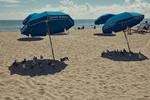 winner of photography awards