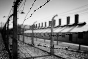 The perimeter fence, Auschwitz-Birkenau concentration camp, Oświęcim, Poland