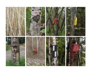 Demarcations variation