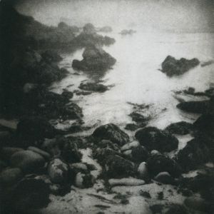 The life of the awakening sea