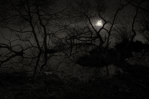 Ignis Fatuus, Study 11