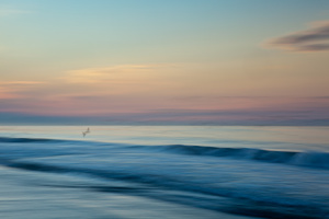 Waves #D29999