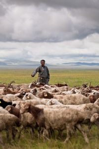 Nomad Herders