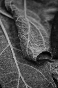 © Carolyn Meltzer