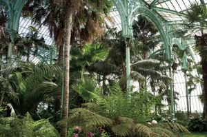 The Winter Garden, Serres Royales de Laeken, Brussels, Belgium  2012 © Mireille Schellhorn