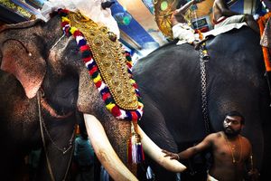 Tripunithura , the Sree Poornathrayeesa Temple.