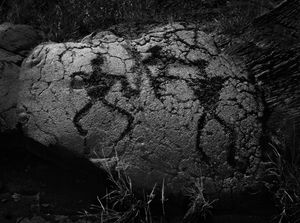 Hawianin Petroglyph 1