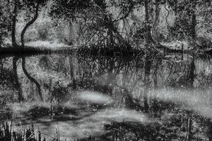 Murdering Creek