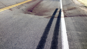 Roadkill Abstract