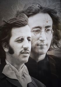 Spider on Beatle