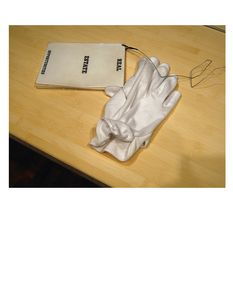 Plate 4:  Two gloves and Ed Ruscha's artist's book "REAL ESTATE OPPORTUNITIES," 1970, photo 2006-LK.