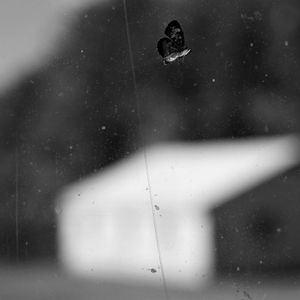 Searching © Abbey Box