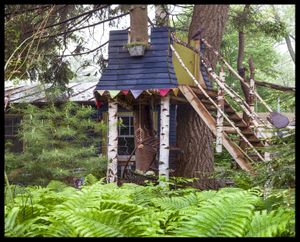 Sarha's Tree house