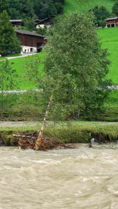 The flood.