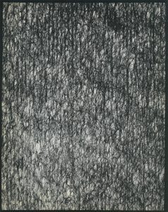 Fleece I