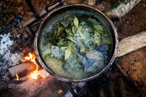 For two days the natural ingredients get boiled.
