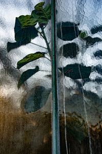 Jardin Urbain