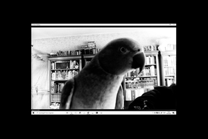 Interruption (often) Welcome