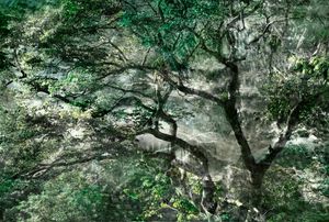 04 El árbol del bien y el mal