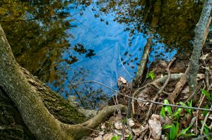 Blue Pool, Adlai Stevenson Historic Site, Libertyville, IL, 2009