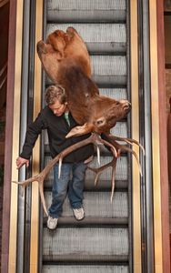 Descent of Man, World Taxidermy Championships, 2013© Arthur Drooker